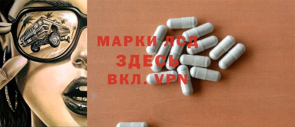 прущие грибы Медвежьегорск