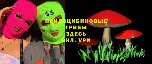 Альфа ПВП Магас