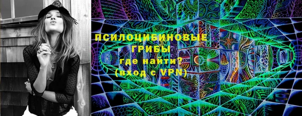 Альфа ПВП Магас