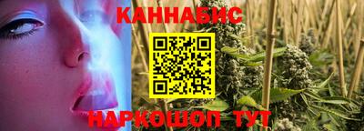 молекула духа Камышлов
