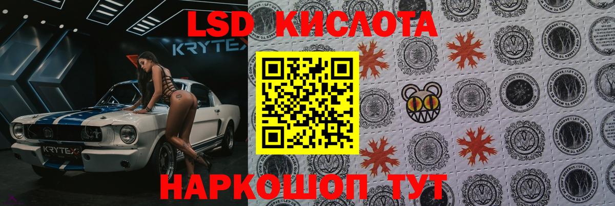 Псилоцибиновые грибы Мегион