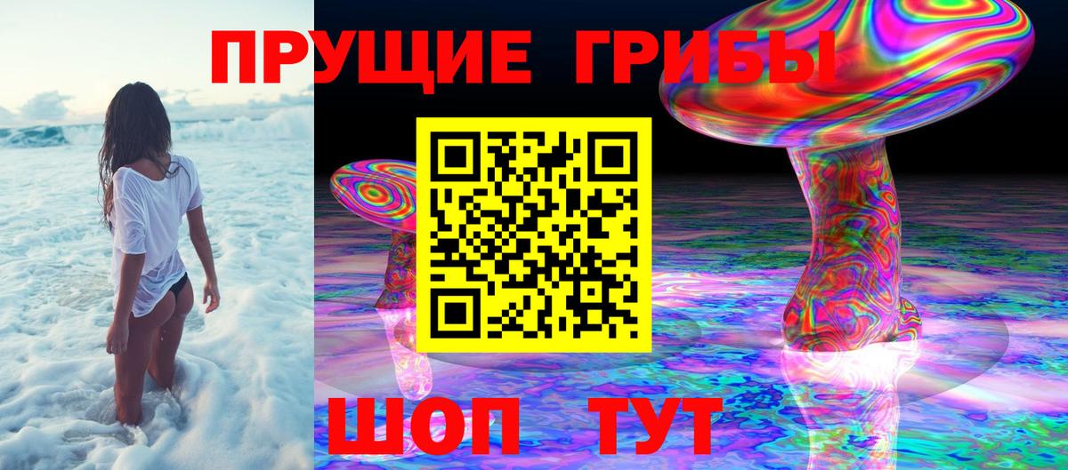 Галлюциногенные грибы MAGIC MUSHROOMS  Мегион  Галлюциногенные грибы Psilocybine cubensis 