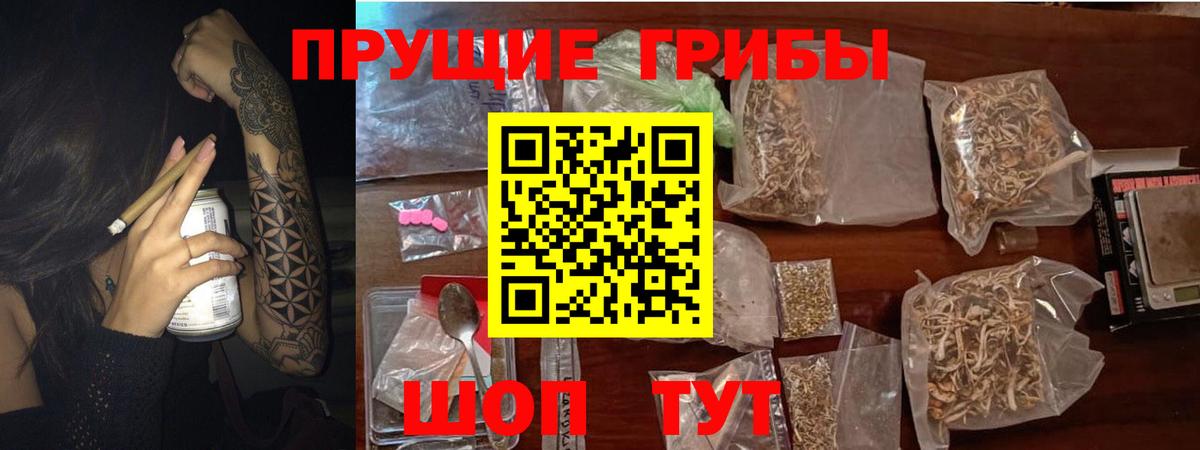 Мегион  наркотики  Вход с VPN  Псилоцибиновые грибы Psilocybe 