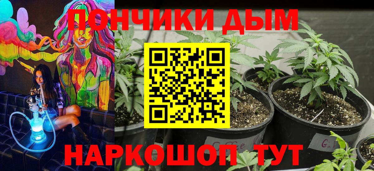 Шишки марихуана семена  Конопля семена  Вход с VPN  Марихуана планчик  Мегион 